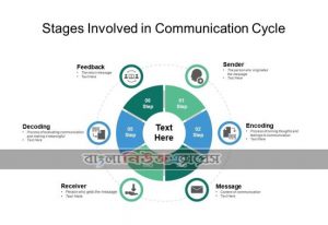 What are the key stages in the communication cycle?, What are the barriers to communication?