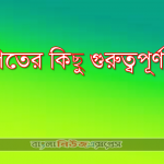 গণিতের কিছু গুরুত্বপূর্ণ টপিক