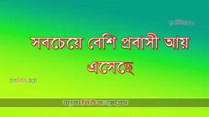 সবচেয়ে বেশি প্রবাসী আয় এসেছে
