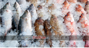ভয়কর খবর হিমায়িত মাছ-গোশতেও করোনা