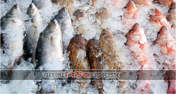 ভয়কর খবর হিমায়িত মাছ-গোশতেও করোনা
