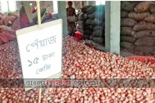 এখন থেকে রান্নায় ব্যবহার করা যাবে পেঁয়াজের গুঁড়া