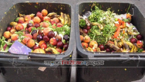 বছরে ৩০% খাদ্য নষ্ট করি আমরা
