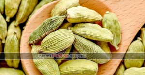 এলাচের যত গুণ