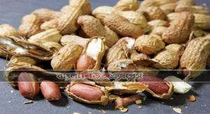 বাদাম খাওয়ার উপকারিতা