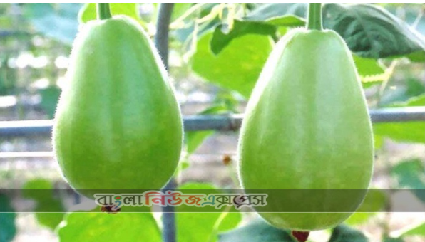 যে কারণে লাউ খাবেন