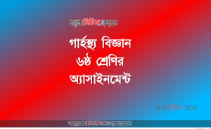 ৬ষ্ঠ শ্রেণির অ্যাসাইনমেন্ট গার্হস্থ্য বিজ্ঞান
