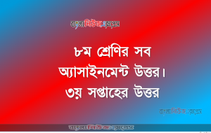Class 8 All Assignment  Answer ।। 3rd Week Assignment
