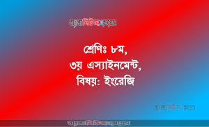 শ্রেণিঃ ৮ম, ৩য় এস্যাইনমেন্ট, বিষয়: ইংরেজি
