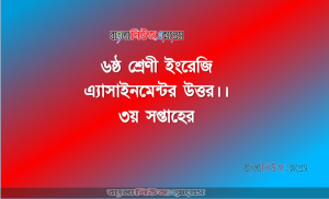 ইংরেজি ৬ষ্ঠ শ্রেণী।।৩য় সপ্তাহের এ্যাসাইনমেন্টর উত্তর