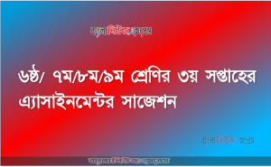 ৬ষ্ঠ/ ৭ম/৮ম/৯ম শ্রেণির ৩য় সপ্তাহের এ্যাসাইনমেন্টর সাজেশন