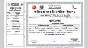 প্রাথমিক সমাপনী নমুনা প্রত্যায়ন ডাউনলোড করুন ২০২০ সালের