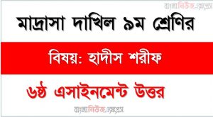 দাখিল ৯ম শ্রেণি, বিষয়: হাদীস শরীফ, ৬ষ্ঠ সপ্তাহের এ্যাসাইনমেন্টর উত্তর