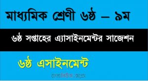 ৬ষ্ঠ সপ্তাহের এ্যাসাইনমেন্টর সাজেশন,  ষষ্ঠ থেকে নবম শ্রেণী পর্যন্ত অ্যাসাইনমেন্ট প্রশ্ন প্রকাশ