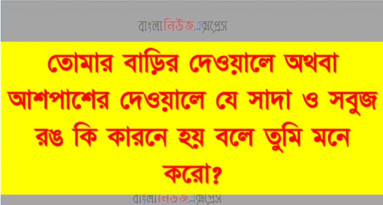 তোমার বাড়ির দেওয়ালে অথবা আশপাশের দেওয়ালে যে সাদা ও সবুজ রঙ কি কারনে হয় বলে তুমি মনে করো?