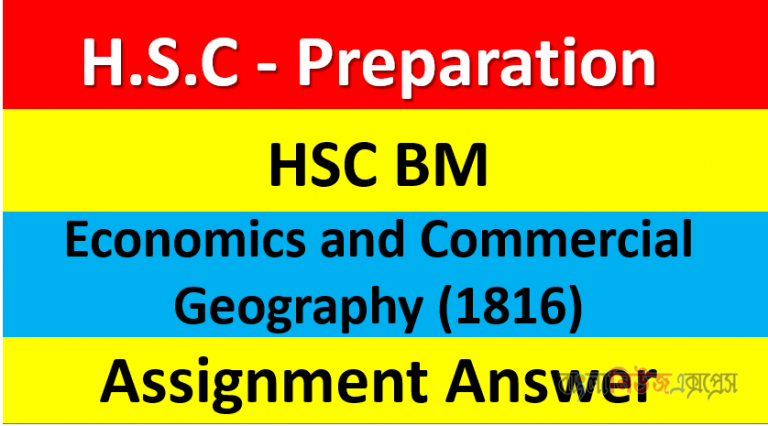 HSC BM Economics and Commercial Geography (1816) Assignment Answer