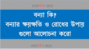 বন্যা কি বন্যার ক্ষয়ক্ষতি ও রোধের উপায় গুলো আলোচনা করো