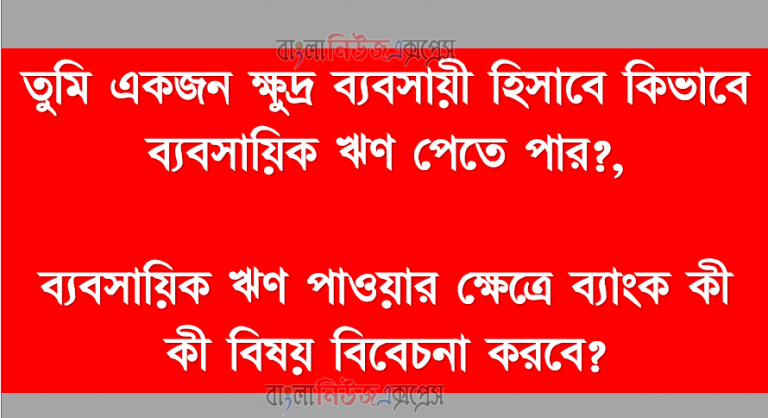 তুমি একজন ক্ষুদ্র ব্যবসায়ী হিসাবে কিভাবে ব্যবসায়িক ঋণ পেতে পার?, ব্যবসায়িক ঋণ পাওয়ার ক্ষেত্রে ব্যাংক কী কী বিষয় বিবেচনা করবে?