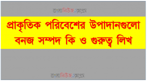প্রাকৃতিক পরিবেশের উপাদানগুলো বনজ সম্পদ কি ও গুরুত্ব লিখ