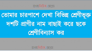 তোমার চারপাশে দেখা বিভিন্ন শ্রেণীভূক্ত দশটি প্রাণীর নাম বাছাই করে ছকে শ্রেণীবিন্যাস কর