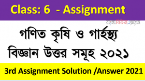 ৬ষ্ঠ শ্রেণির ৩য় সপ্তাহের এ্যাসাইনমেন্ট উত্তর গণিত কৃষি ও গার্হস্থ্য বিজ্ঞান উত্তর সমূহ ২০২১