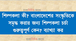 শিল্পকলা কী? বাংলাদেশের সংস্কৃতিকে সমৃদ্ধ করার জন্য শিল্পকলা চর্চা গুরুত্বপূর্ণ কেন? ব্যাখ্যা কর