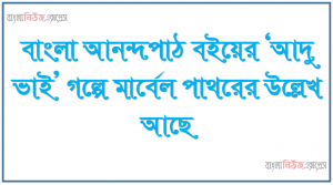 বাংলা আনন্দপাঠ বইয়ের ‘আদু ভাই’ গল্পে মার্বেল পাথরের উল্লেখ আছে