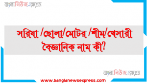 সরিষা /ছোলা/মোটর /শীম/খেসারী  বৈজ্ঞানিক নাম কী?