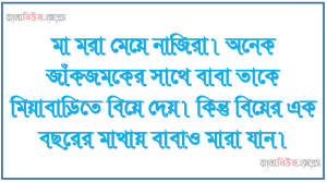 মা মরা মেয়ে নাজিরা। অনেক জাঁকজমকের সাথে বাবা তাকে মিয়াবাড়িতে বিয়ে দেয়। কিন্তু বিয়ের এক বছরের মাথায় বাবাও মারা যান।