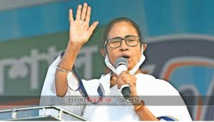 সংগ্রামী এক বাঙ্গালী নারী, নাম তার মমতা