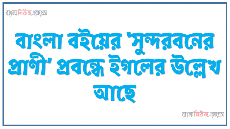 বাংলা বইয়ের ‘সুন্দরবনের প্রাণী’ প্রবন্ধে ইগলের উল্লেখ আছে