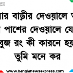 তােমার বাড়ীর দেওয়ালে অথবা আশে পাশের দেওয়ালে যে সাদা ও সবুজ রং, কী কারনে হয় বলে তুমি মনে কর। 2 তােমার বাড়ীর দেওয়ালে অথবা আশে পাশের দেওয়ালে যে সাদা ও সবুজ রং, কী কারনে হয় বলে তুমি মনে কর।