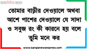 তােমার বাড়ীর দেওয়ালে অথবা আশে পাশের দেওয়ালে যে সাদা ও সবুজ রং, কী কারনে হয় বলে তুমি মনে কর।