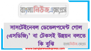 সাসটেইনেবল ডেভেলপমেন্ট গোল (এসডিজি)’ বা টেকসই উন্নয়ন বলতে কি বুঝি