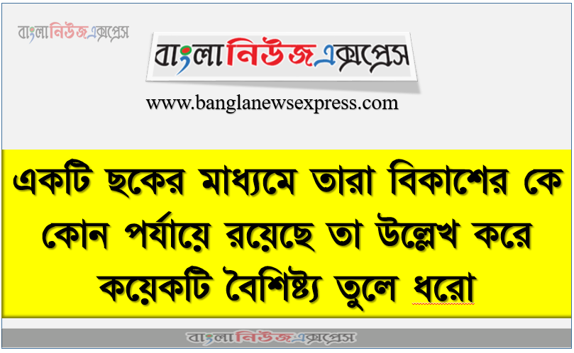 একটি ছকের মাধ্যমে তারা বিকাশের কে কোন পর্যায়ে রয়েছে তা উল্লেখ করে কয়েকটি বৈশিষ্ট্য তুলে ধরাে