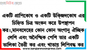 প্রাণিদেহের যে কলা উদ্দীপনায় সাড়া দিয়ে উপঘুক্ত প্রতিবেদন সুষ্টি করতে পারে সেই কোষটির সচিত্র বর্ণনা কর