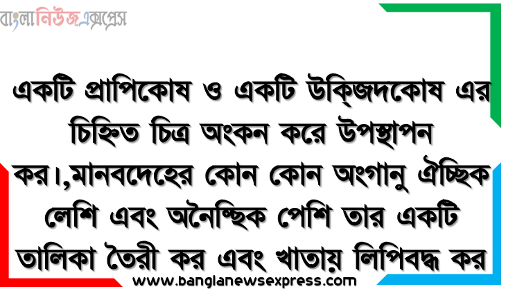 একটি প্রাপিকোষ ও একটি উক্জিদকোষ এর চিহ্নিত চিত্র অংকন করে উপস্থাপন কর।,মানবদেহের কোন কোন অংগানু ঐচ্ছিক লেশি এবং অনৈষ্ছিক পেশি তার একটি তালিকা তৈরী কর এবং খাতায় লিপিবদ্ধ কর