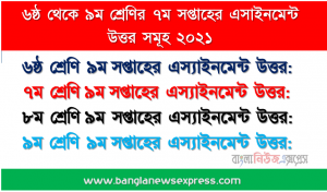 ৬ষ্ঠ থেকে ৯ম শ্রেণি ৯ম সপ্তাহের এস্যাইনমেন্ট উত্তর সমূহ ২০২১