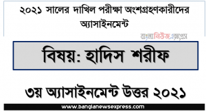 ২০২১ সালের এ দাখিল পরীক্ষার্থীদের হাদিস শরীফ ৩য় সপ্তাহের এ্যাসাইনমেন্ট সমাধান, dakhil hadith sharif 3rd week assignment answer 2021