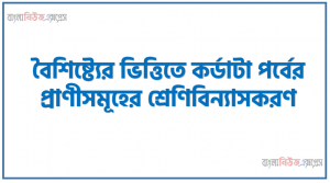 বৈশিষ্ট্যের ভিত্তিতে কর্ডাটা পর্বের প্রাণীসমূহের শ্রেণিবিন্যাসকরণ, পাঠ্যপুস্তকে কর্ডাটা পর্বের যে শ্রেণিবিন্যাসে ৩ টি উপপর্ব