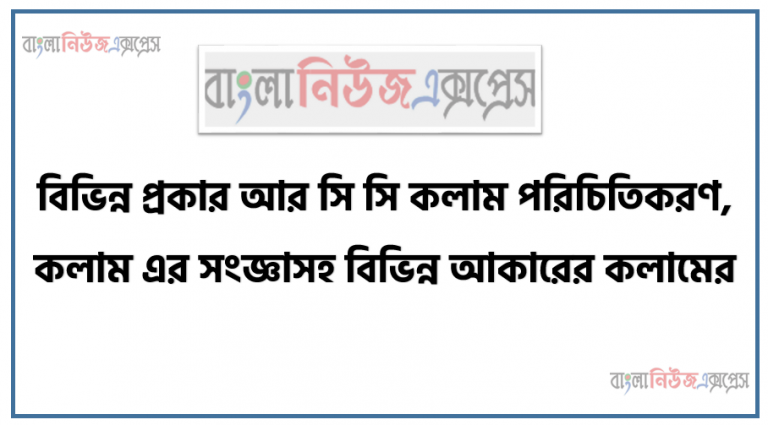 বিভিন্ন প্রকার আর সি সি কলাম পরিচিতিকরণ, কলাম এর সংজ্ঞাসহ বিভিন্ন আকারের কলামের