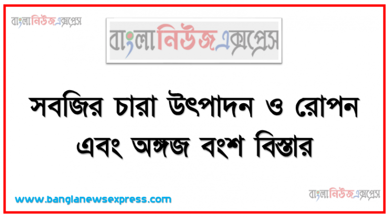 সবজির চারা উৎপাদন ও রোপন এবং অঙ্গজ বংশ বিস্তার, বিভিন্ন সবজি উৎপাদনে বীজের হার ও বীজ তলায় বীজবপন পদ্ধতি সম্পর্কে বর্ণনা করতে পারবে