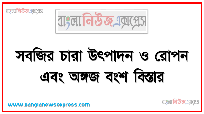 সবজির চারা উৎপাদন ও রোপন এবং অঙ্গজ বংশ বিস্তার, বিভিন্ন সবজি উৎপাদনে বীজের হার ও বীজ তলায় বীজবপন পদ্ধতি সম্পর্কে বর্ণনা করতে পারবে