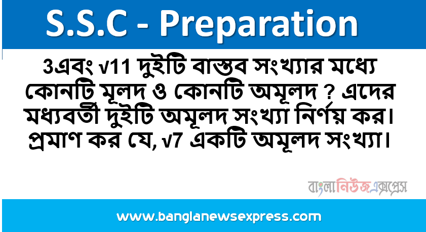 3এবং √11 দুইটি বাস্তব সংখ্যার মধ্যে কোনটি মূলদ ও কোনটি অমূলদ ? এদের মধ্যবর্তী দুইটি অমূলদ সংখ্যা নির্ণয় কর। প্রমাণ কর যে, √7 একটি অমূলদ সংখ্যা।