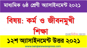 ৬ষ্ঠ শ্রেণির কর্ম ও জীবনমুখী শিক্ষা ১২শ সপ্তাহের অ্যাসাইনমেন্টের সমাধান ২০২১, বাসায় পড়ে থাকা রঙ্গিন কাগজগুলাে দিয়ে ফুল তৈরি