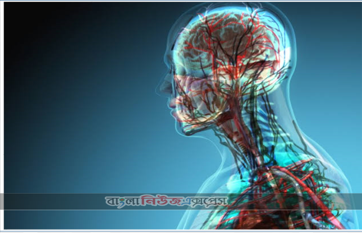 মানবদেহ নিয়ে কিছু গুরুত্বপূর্ণ তথ্য,মানুষের প্রতিটি কানের ভিতরে ৩টি করে হাড় থাকে।, এগুলোর নাম হলঃ ম্যালিয়াস, ইনকাস, স্টেপিস (কানের বাহির থেকে ভিতরের দিকে সিরিয়াল অনুযায়ী। মনে রাখার সূত্র: MIS।)