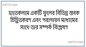 হাতেকলমে একটি ফুলের বিভিন্ন স্তবক চিহ্নিতকরণ এবং পরাগায়ন মাধ্যমের সাথে তার সম্পর্ক বিশ্লেষণ