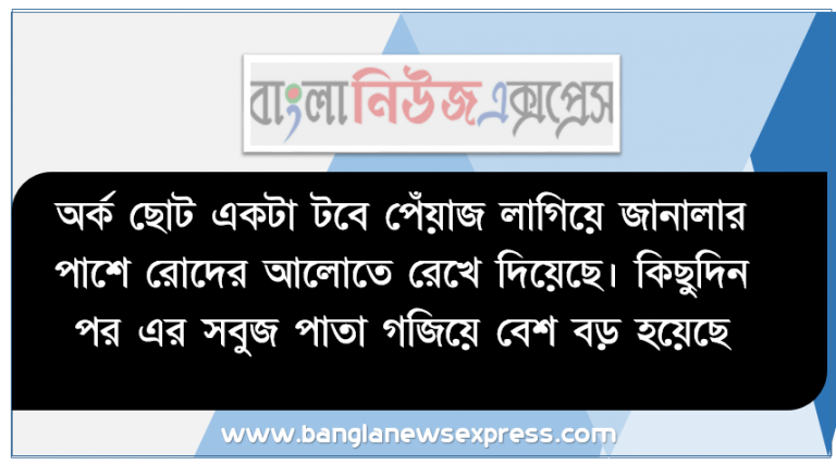 অর্ক ছােট একটা টবে পেঁয়াজ লাগিয়ে জানালার পাশে রােদের আলােতে রেখে দিয়েছে। কিছুদিন পর এর সবুজ পাতা গজিয়ে বেশ বড় হয়েছে। সে বেশ পুলকিত হয়ে প্রতিদিন এটি পর্যবেক্ষণ করছে। তার বড় ভাই তাকে জানালাে যে