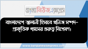 বাংলাদেশে জ্বালানী হিসাবে খনিজ সম্পদ-প্রাকৃতিক গ্যাসের গুরুত্ব বিশ্লেষণ।  বাংলাদেশের বাণ্যিজ্যিক ভূগোল (খনিজ সম্পদ)