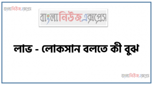 লাভ – লোকসান বলতে কী বুঝ